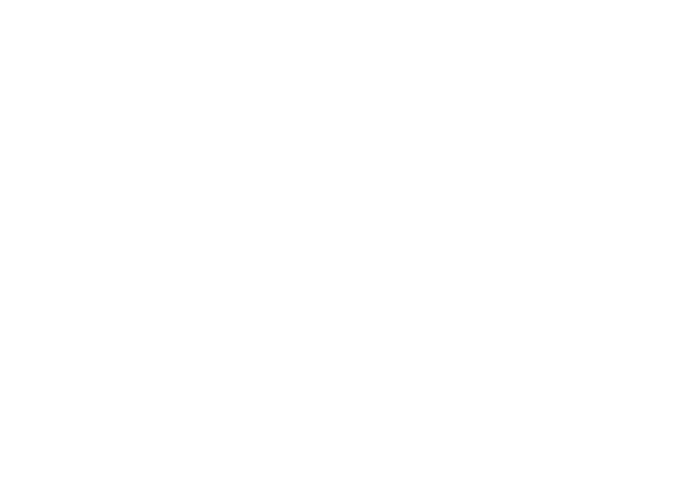 Business and Economic Affairs Logo