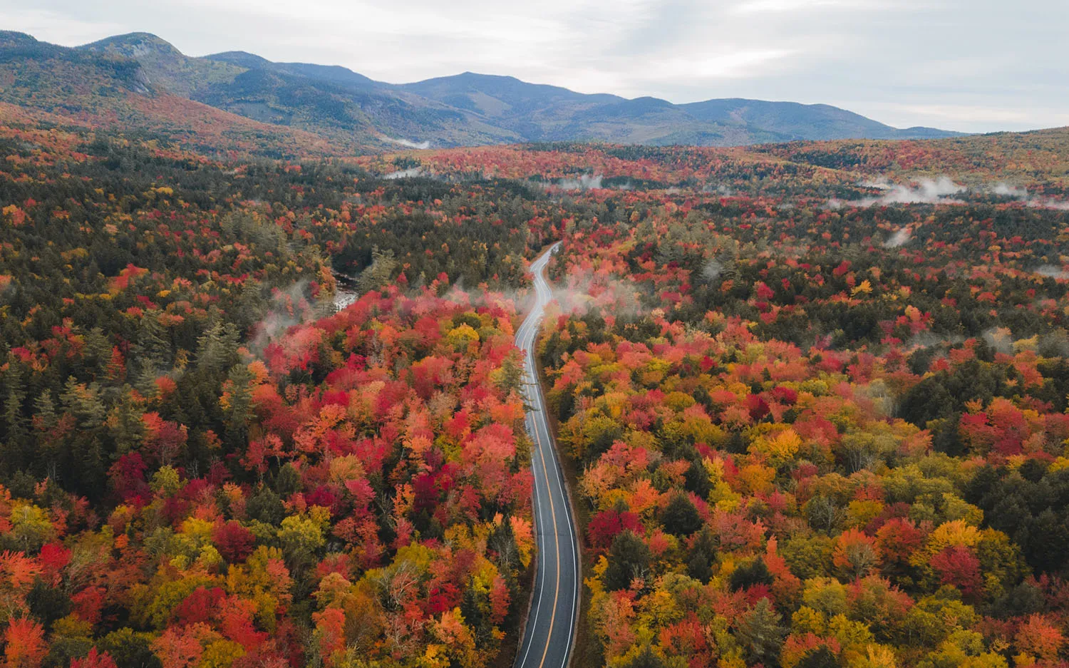 fall foliage