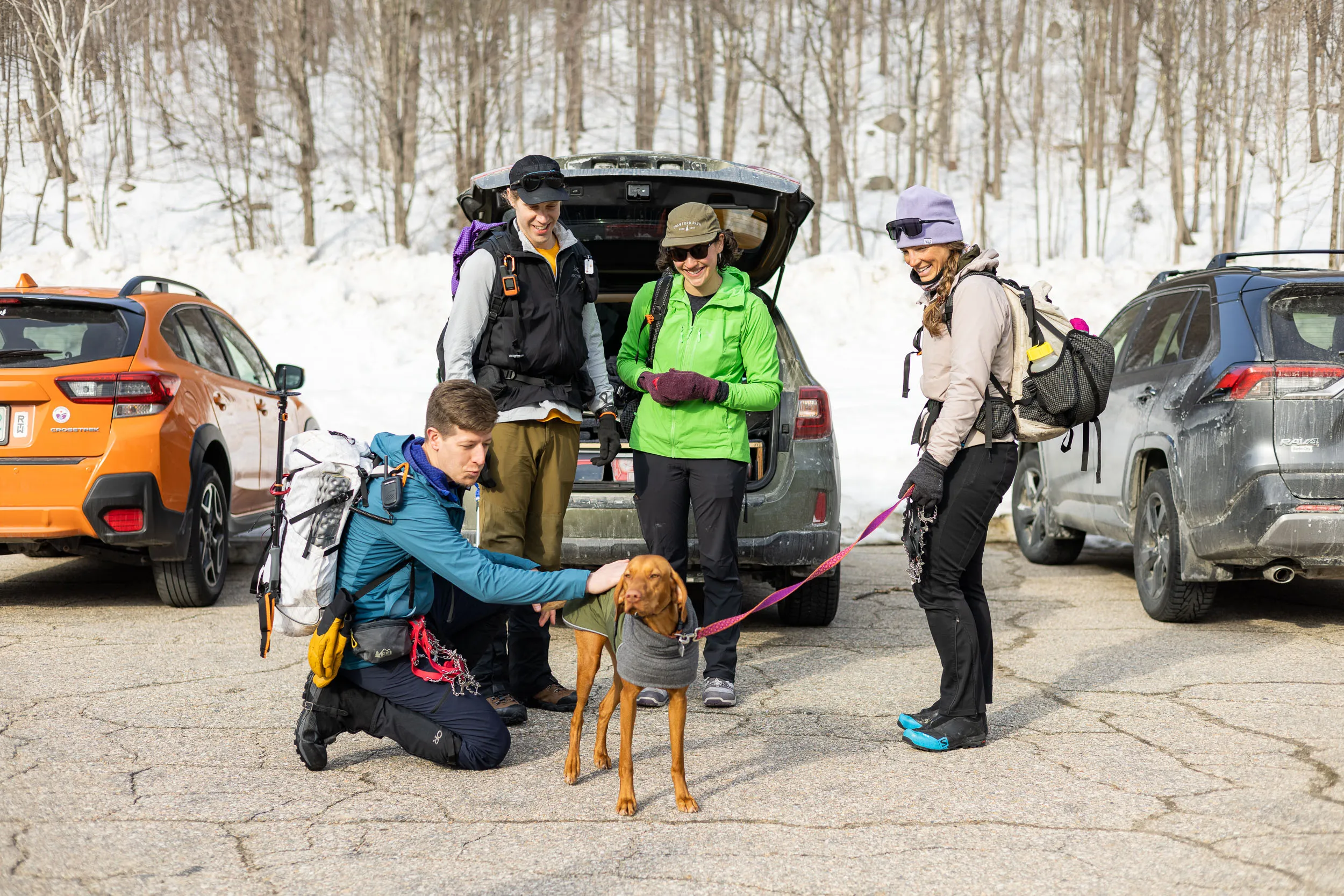 hikers and dog