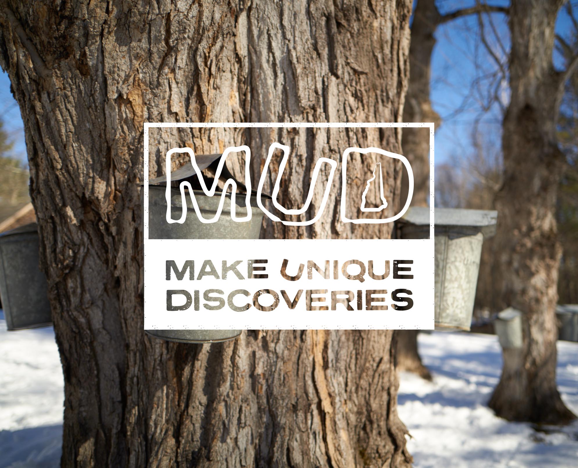 a tree tapped with maple syrup buckets covered with a logo that says MUD Make Unique Discoveries.