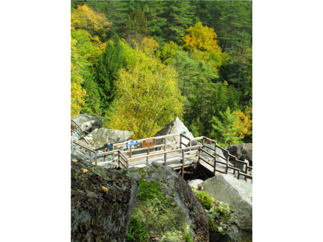 Early fall Foliage from the top of the boardwalks.