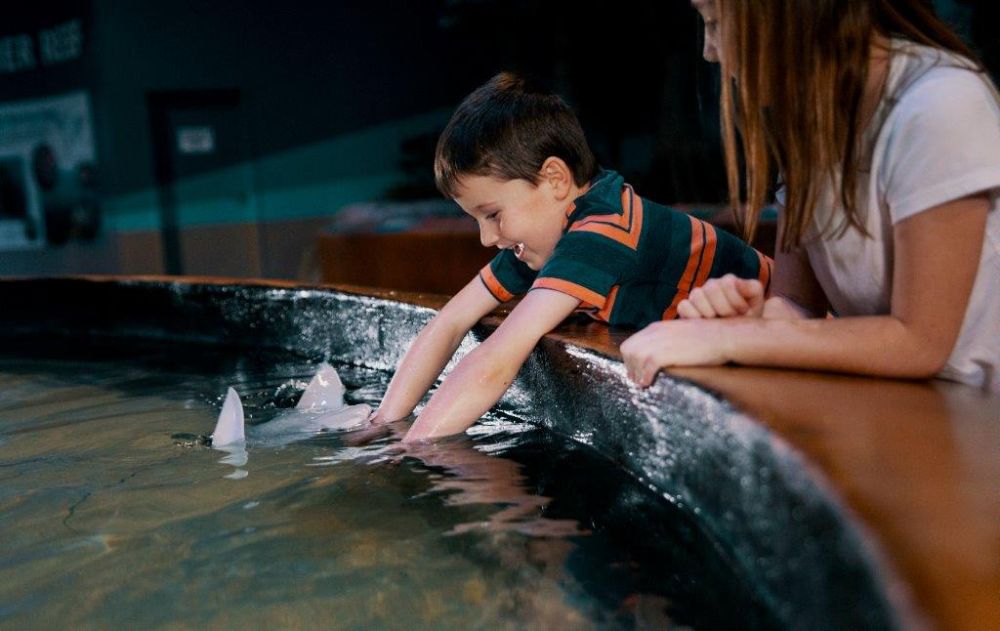 Aquarium Day 1-10 medium.jpg