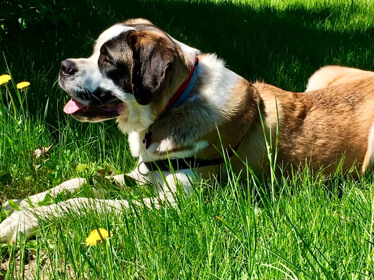 Chelsea, one of our Brand Ambassadors here at Top of the Ridge Farm Bed & Breakfast