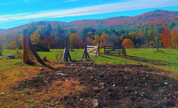 Our hillside family farm in the fall