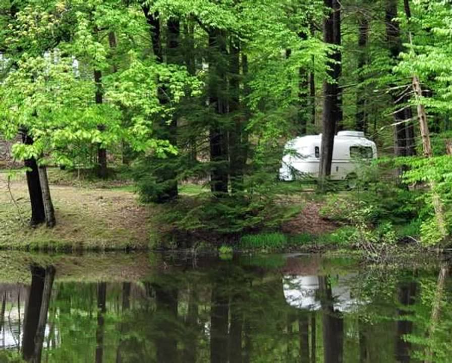 airstream woods sm.jpg