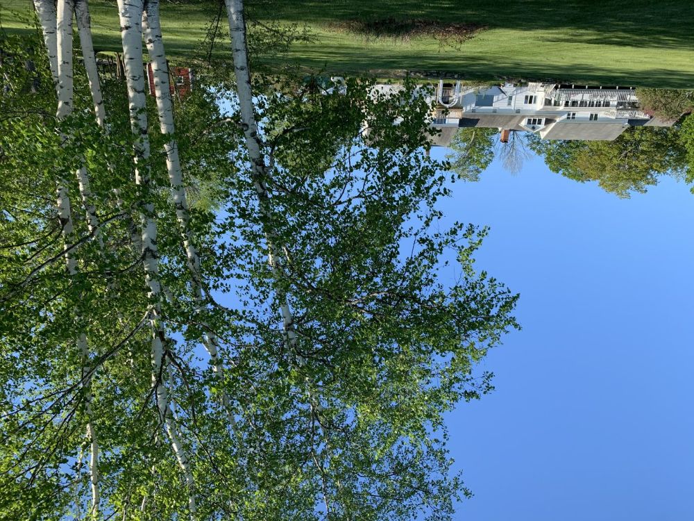 Beautiful grounds to relax in