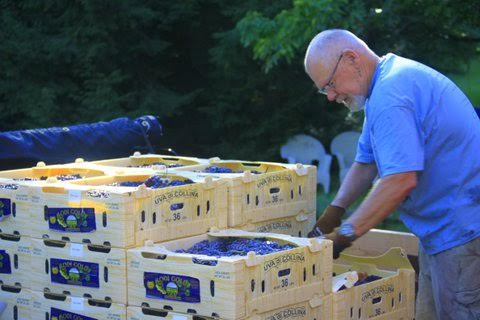 The Summit Winery philosophy is you should have the world of good wine in your local winery. It is the best of both worlds.