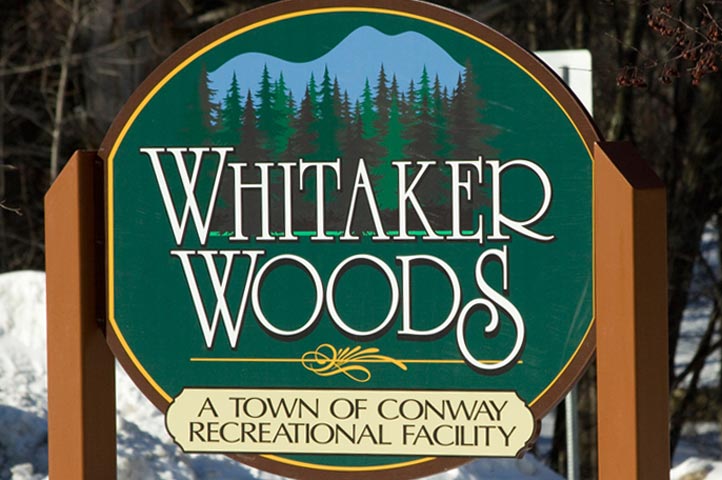 Whitaker Woods Trails - Intown Network