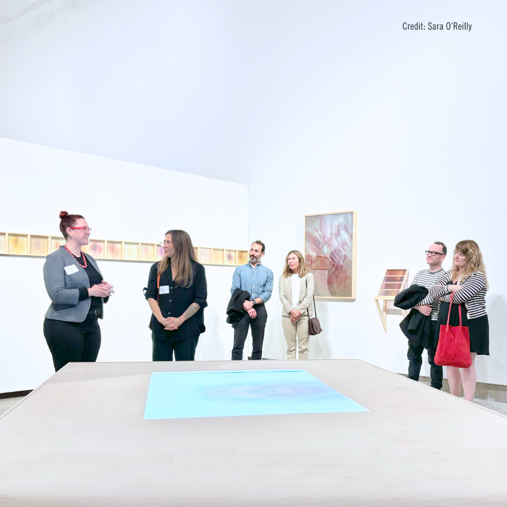 Works by 2023 grant recipient Shaina Gates. New Hampshire Charitable Foundation's Artist Advancement Grant Exhibit at 3S Artspace