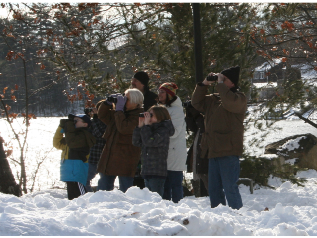 Year Round Programs on NH Wildlife