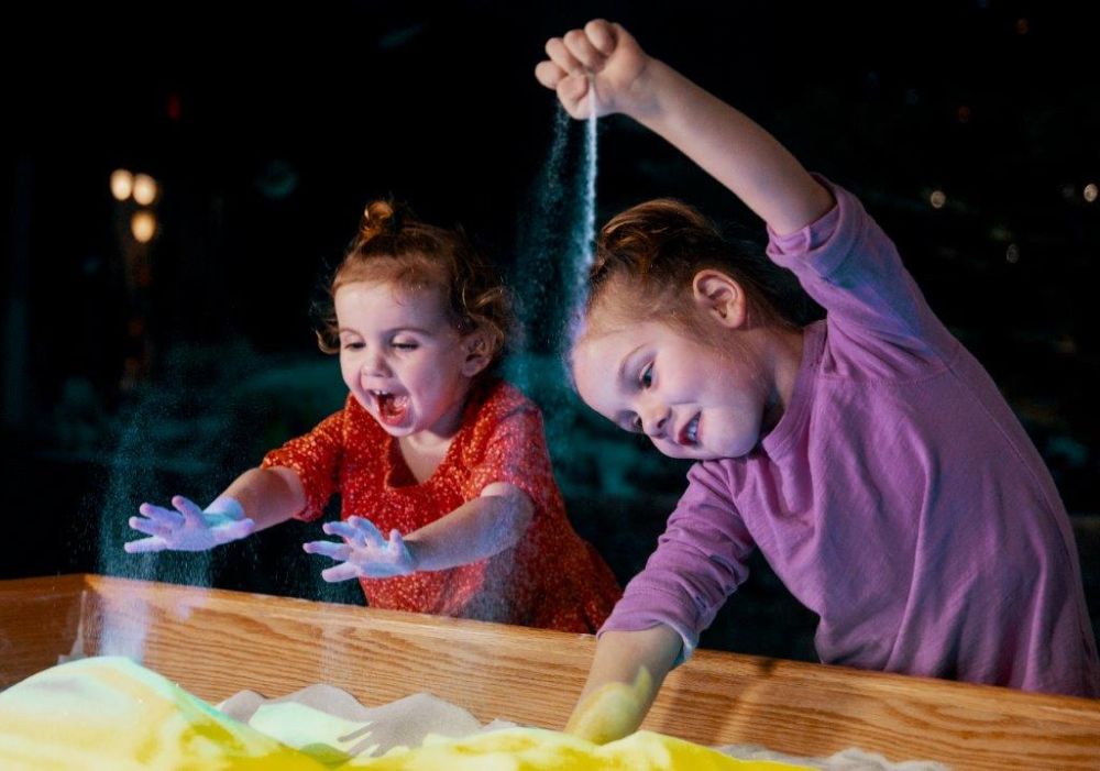 Aquarium Day 1-15 medium.jpg