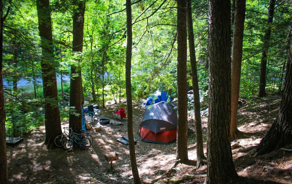 Relaxing, natural atmosphere for tent, RV, platform, or cabin camping!