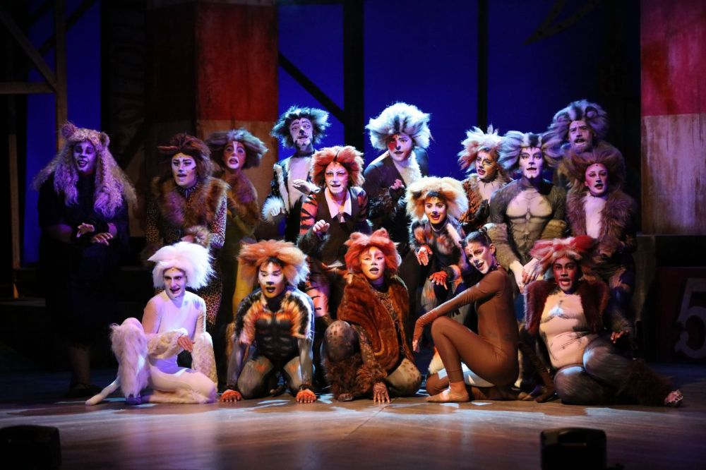 "Cats" and other Broadway Musicals!