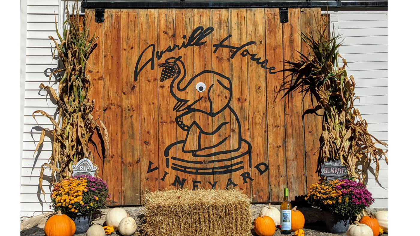 Averill House Vineyard