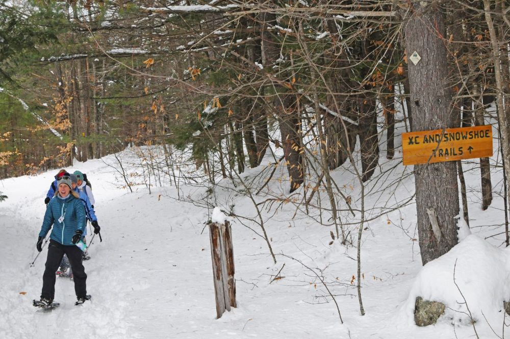Guided Snowshoe Tours