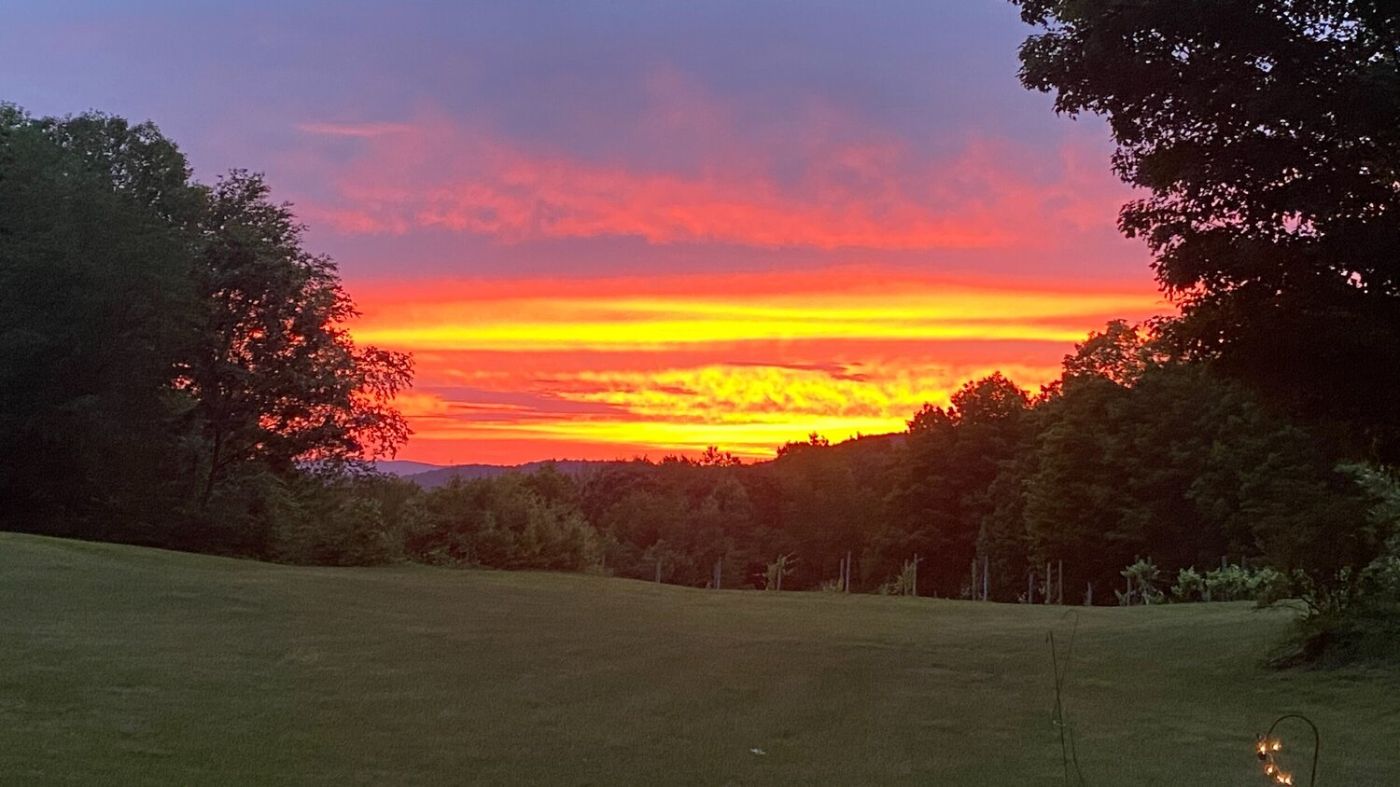 Beautiful views can be seen from our large wine bar and tasting room. Plus in warmer weather enjoy the sunset and views on our outside deck.