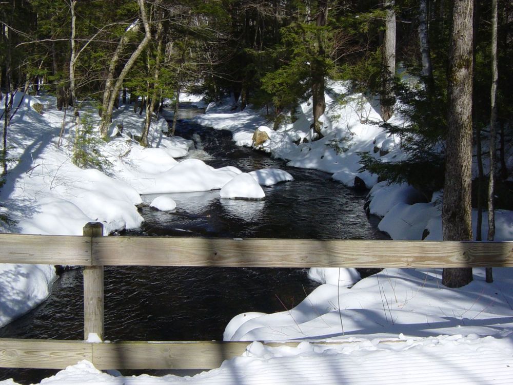 View from wooded trail