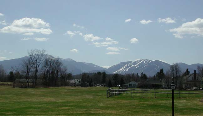 View from Motel Room
