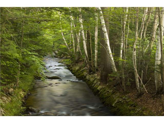 Moose Brook State Park