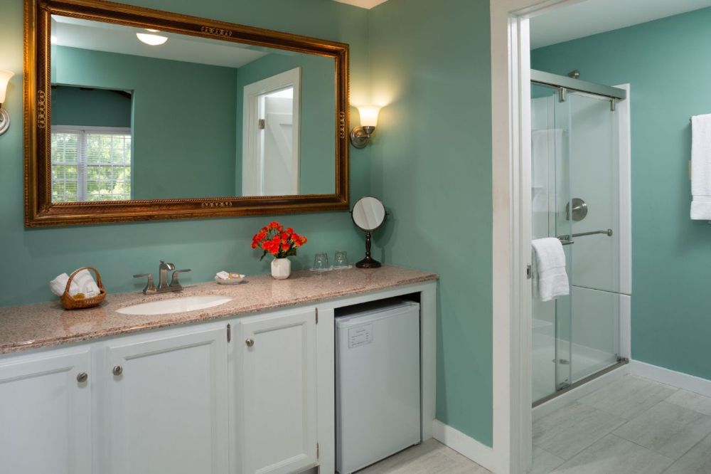 Guest Bath and Fridge