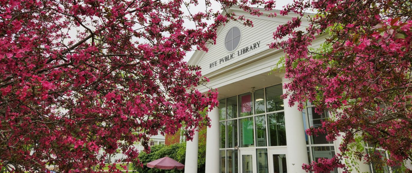 Rye Public Library in Spring