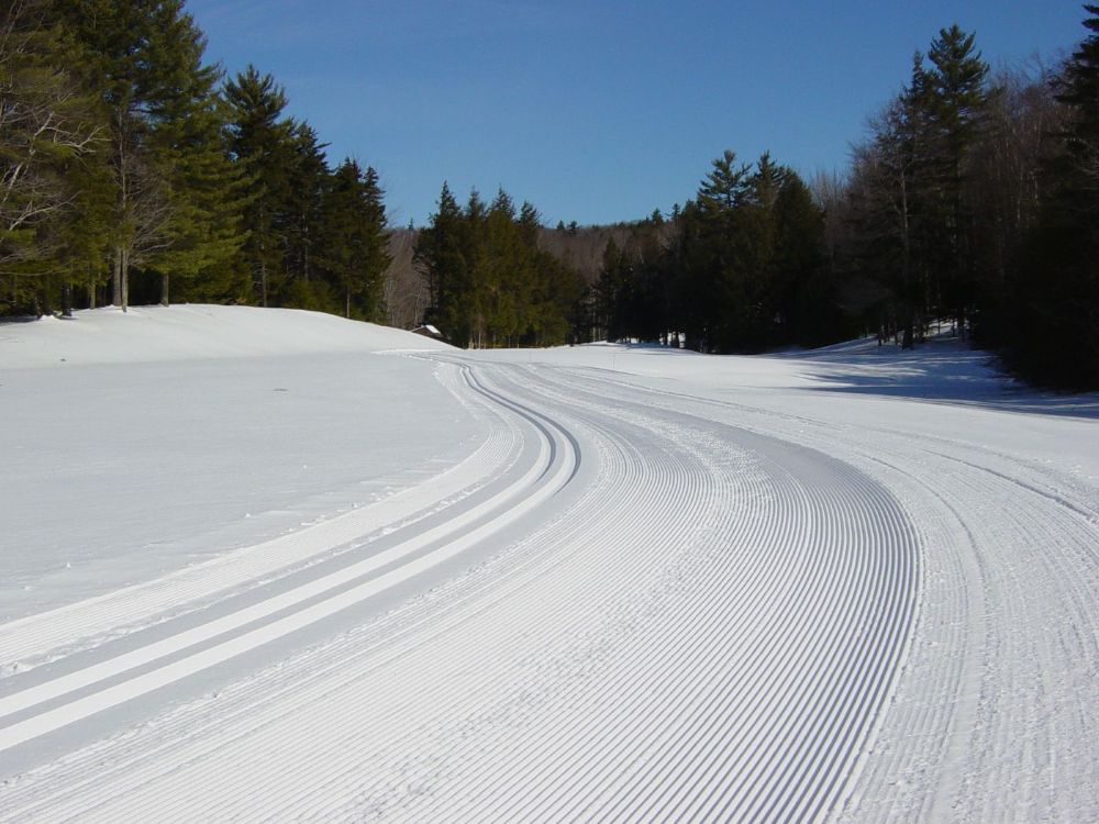 Groomed and ready to go!