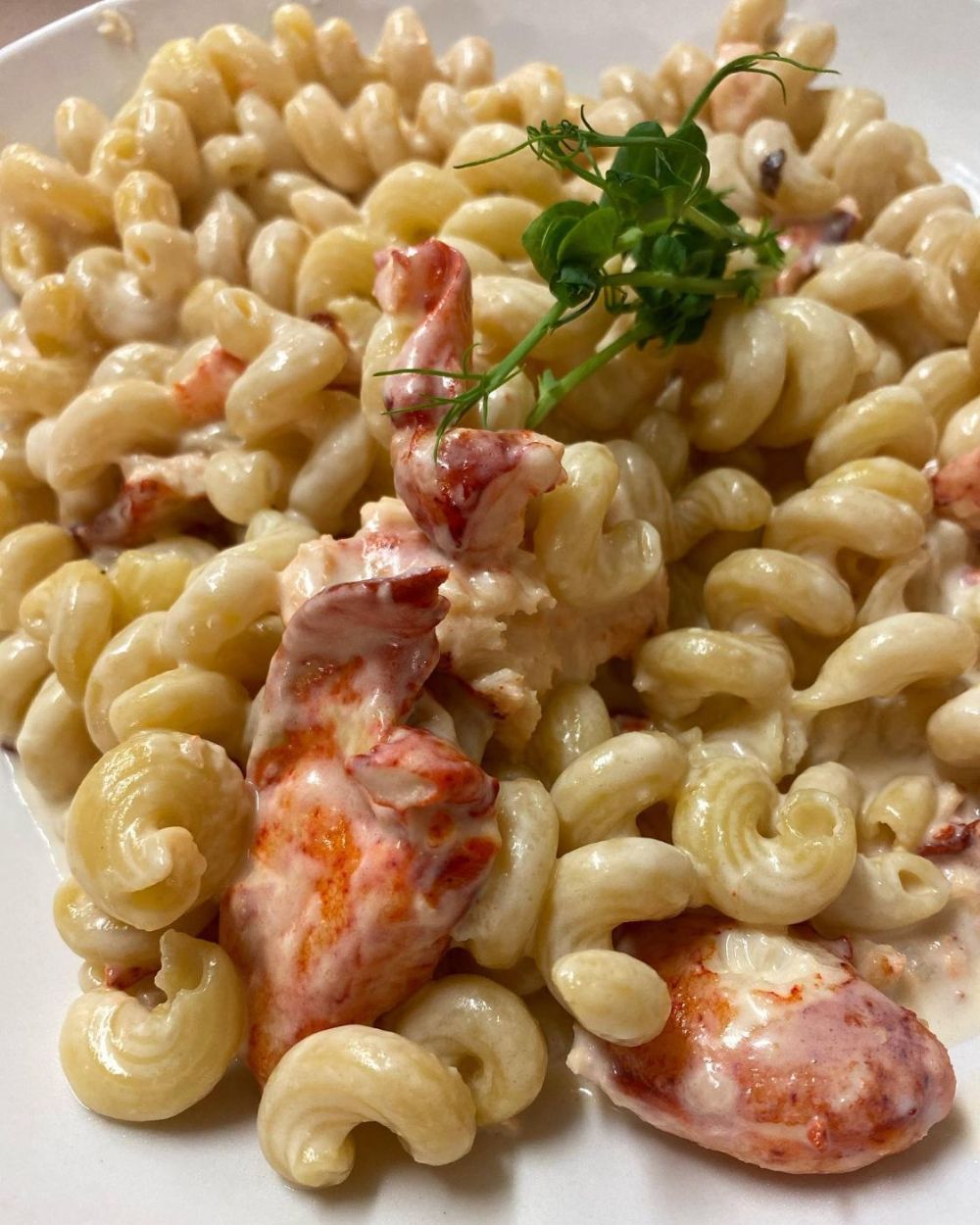 210127-O-Bistro-Lobster-Mac.jpg