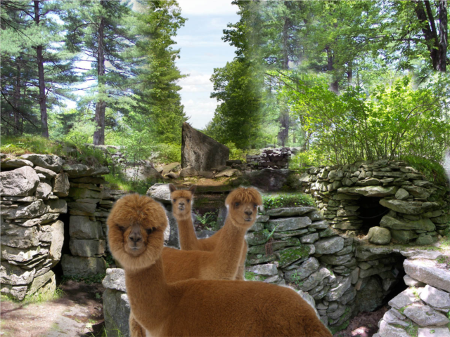 Some of the chambers, alignments, and alpacas at America's Stonehenge.