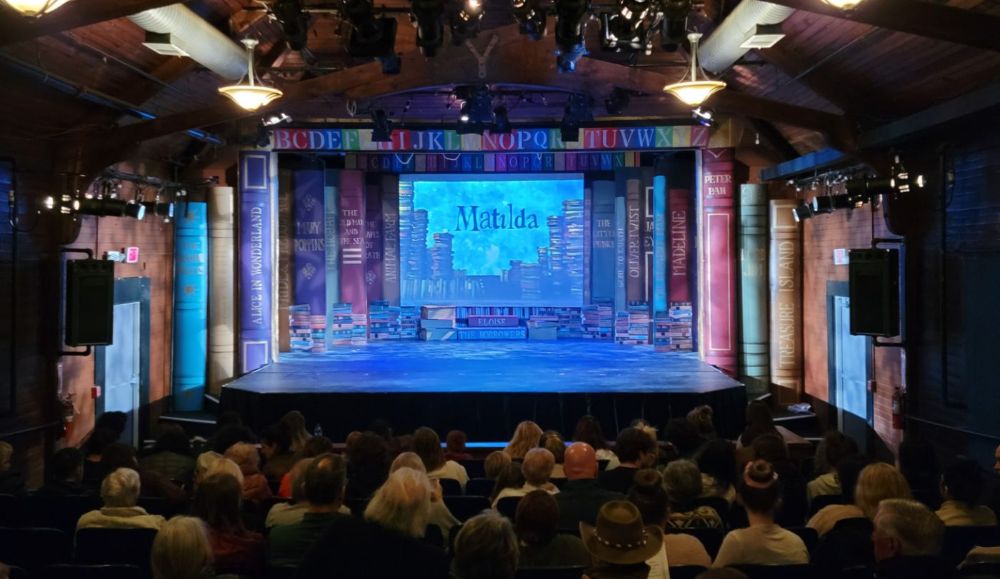 Our comfortable, air-conditioned theatre.
