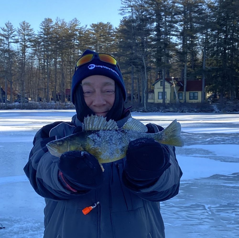 Lake Winnipesaukee yellow perch ice fishing