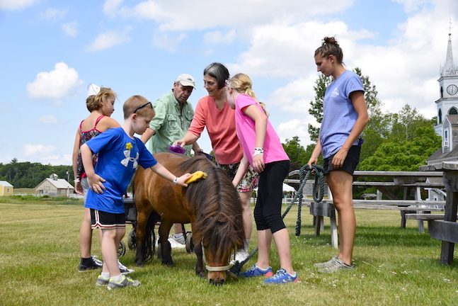Hands-on activities & chores