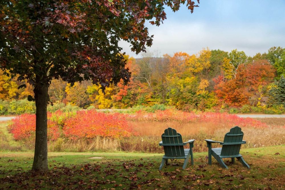 Chesterfield Inn Meadow