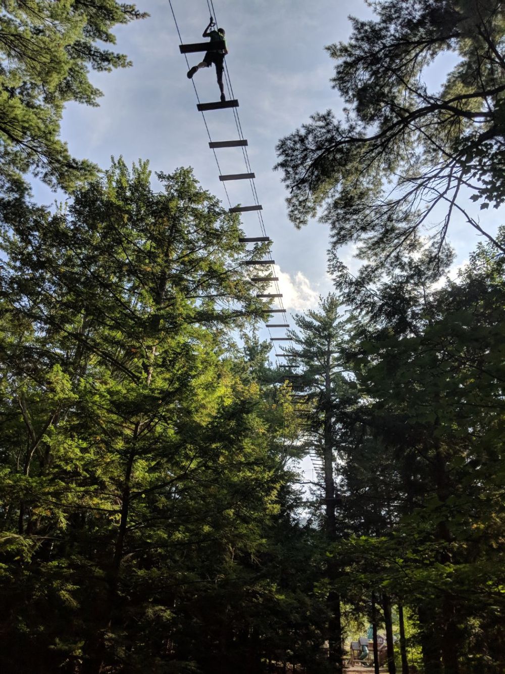 Channel your inner squirrel with our Aerial Treetop Adventure!