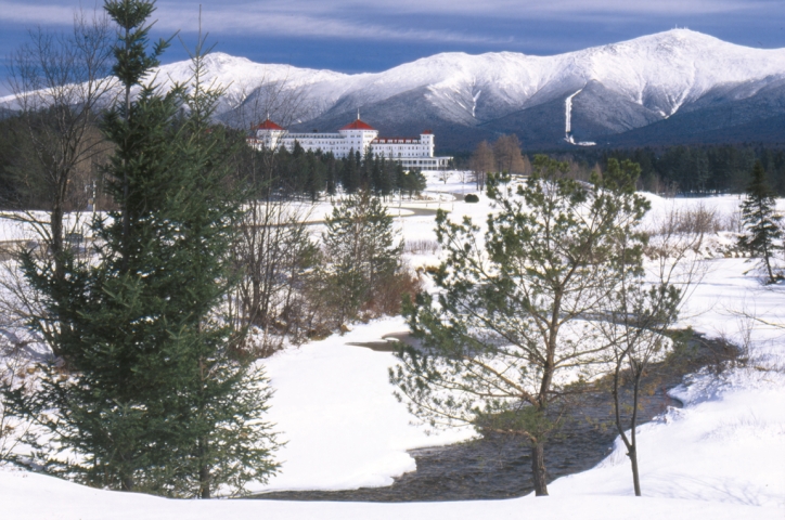 A true winter wonderland!