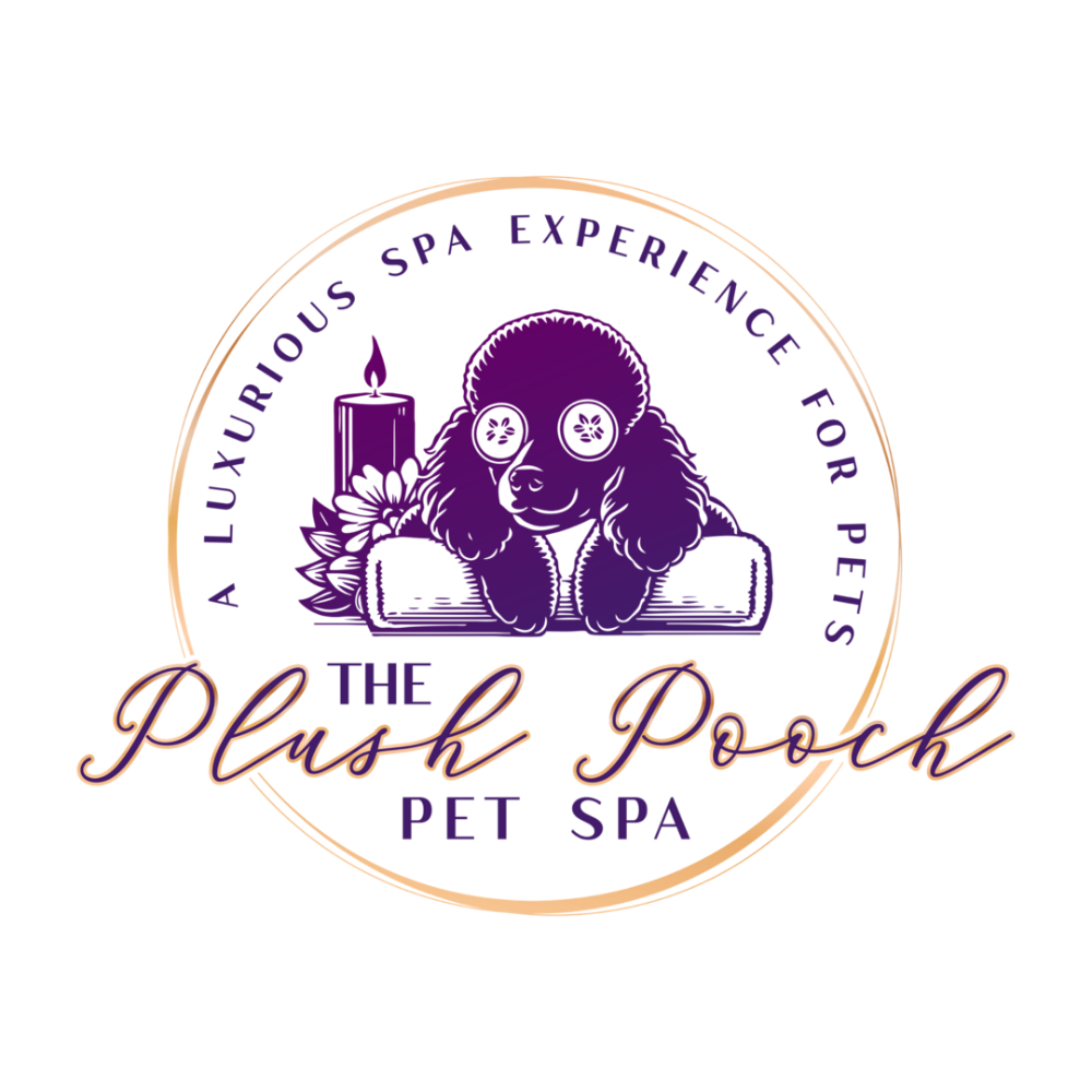 A luxurious experience for your furry friend!