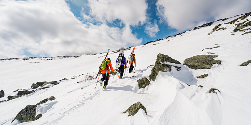 backcountry.jpg backcountry.jpg