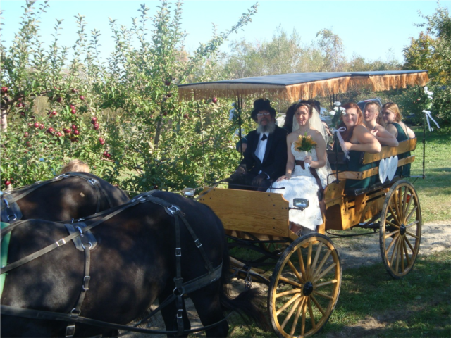 Horse drawn carriage for the bridal party