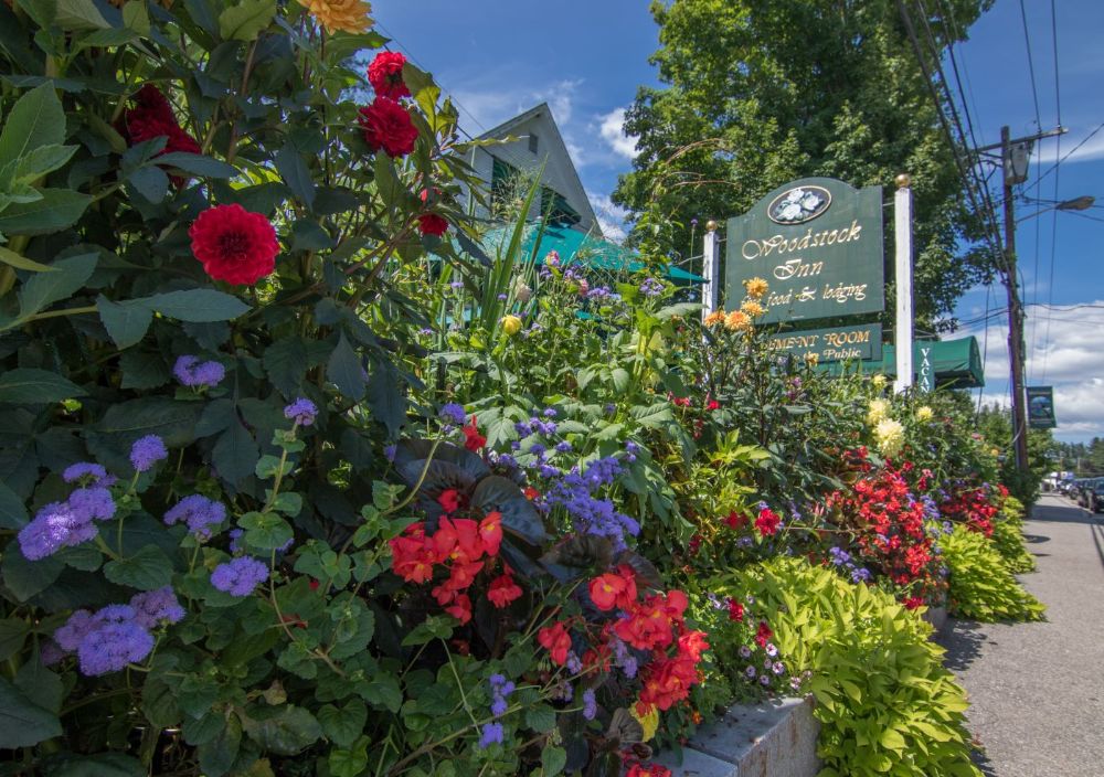 Summer in the White Mountains