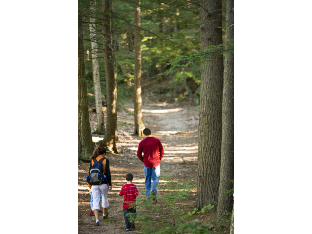 Walking the trails at Pawtuckaway State Park.