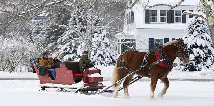 sleigh-cozy.jpg