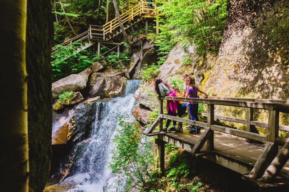 Enjoying Paradise Falls