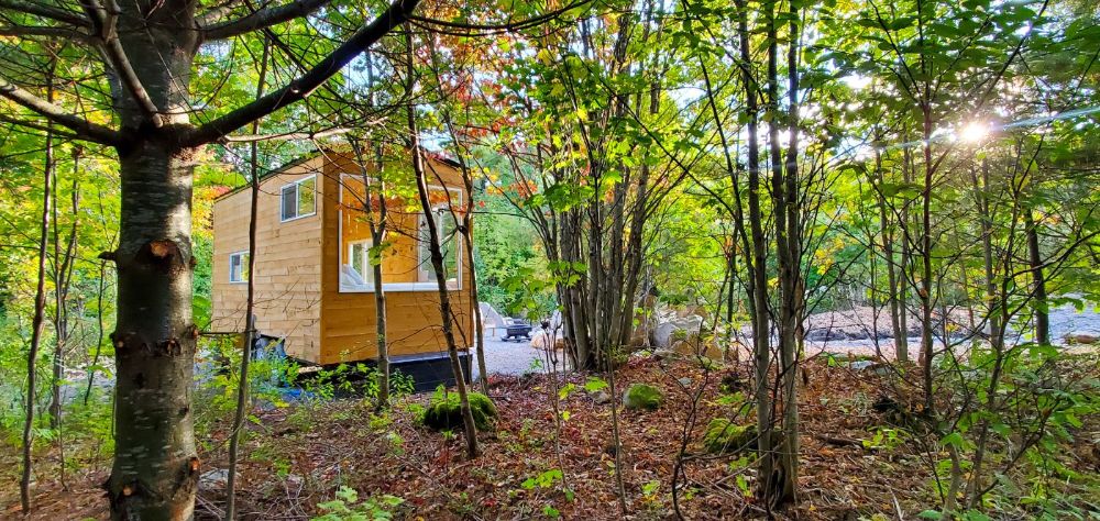 Secluded in the woods