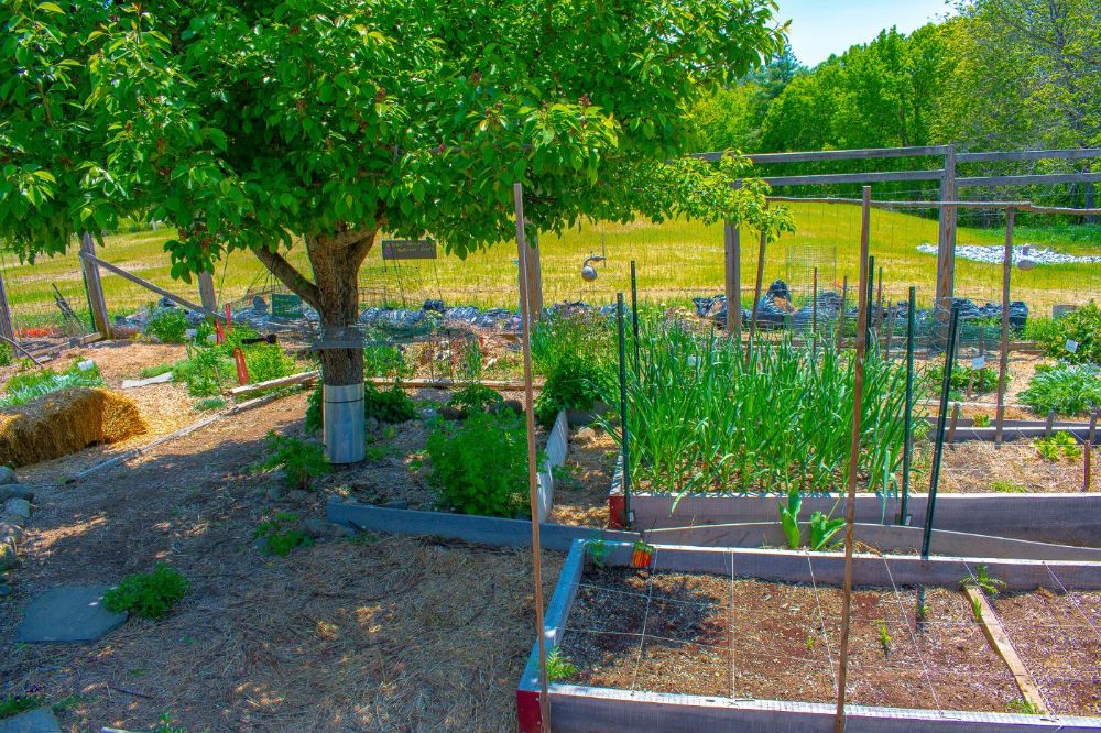 Prescott Farm Garden