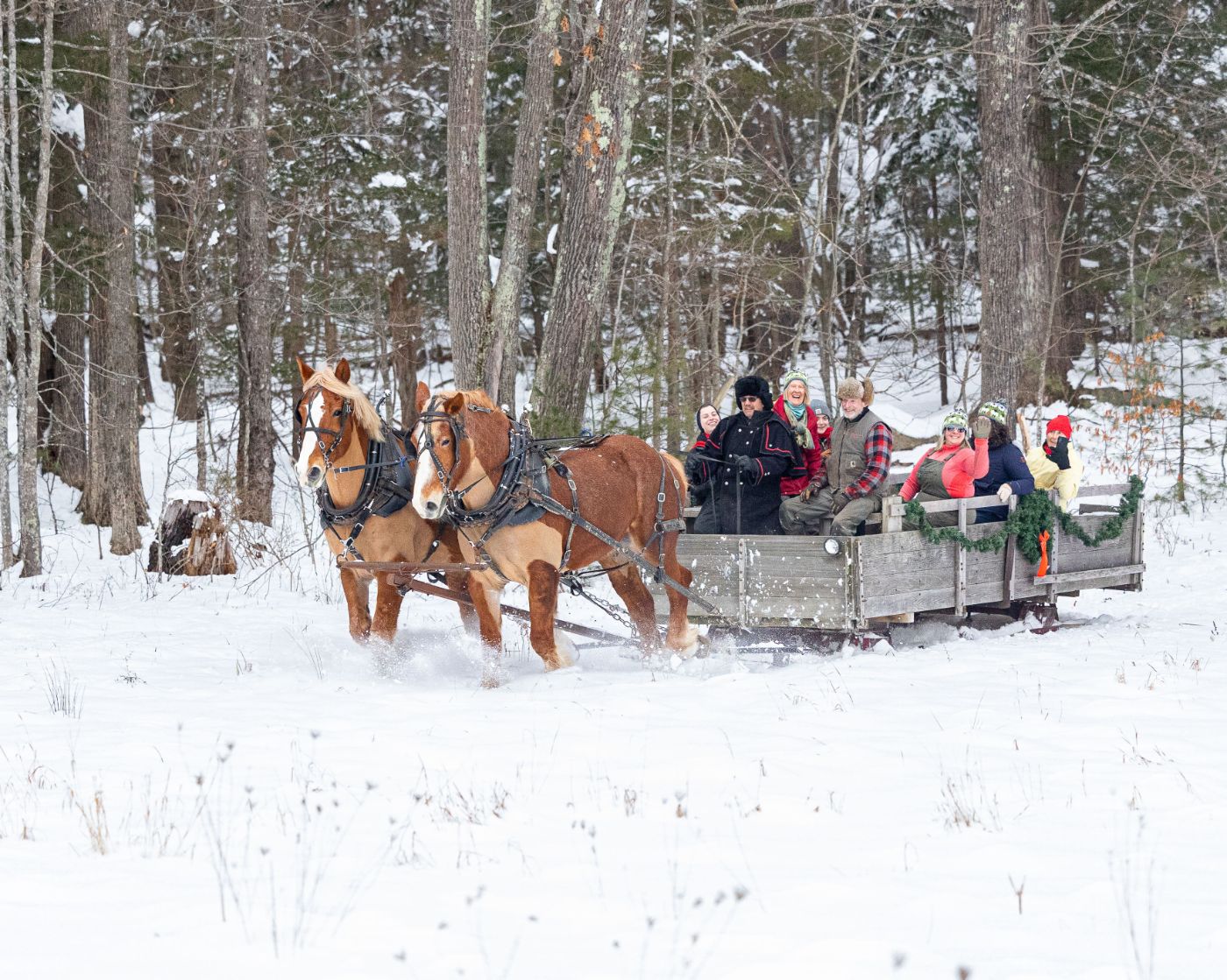 Horse-drawn Rides at Coppal House Farm - Lee, NH (Photo by Perfect Photos)
