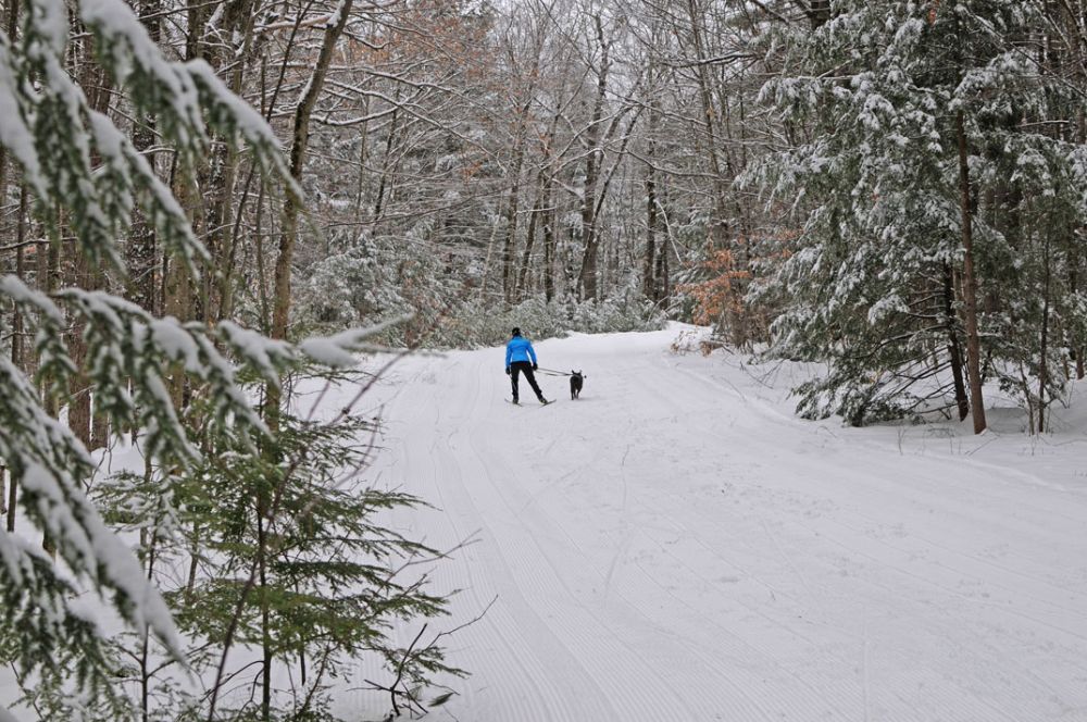 Dog friendly xc and snowshoe trails