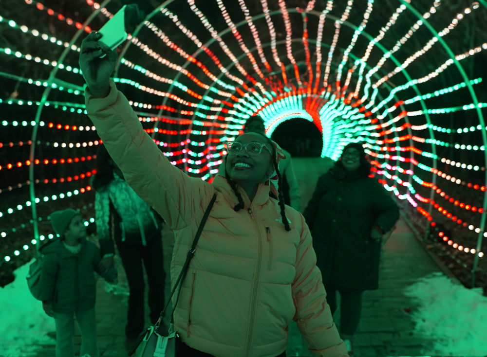 Screenshot 2024-11-06 at 6.16.53%e2%80%afPM-SNOW EDIT.png