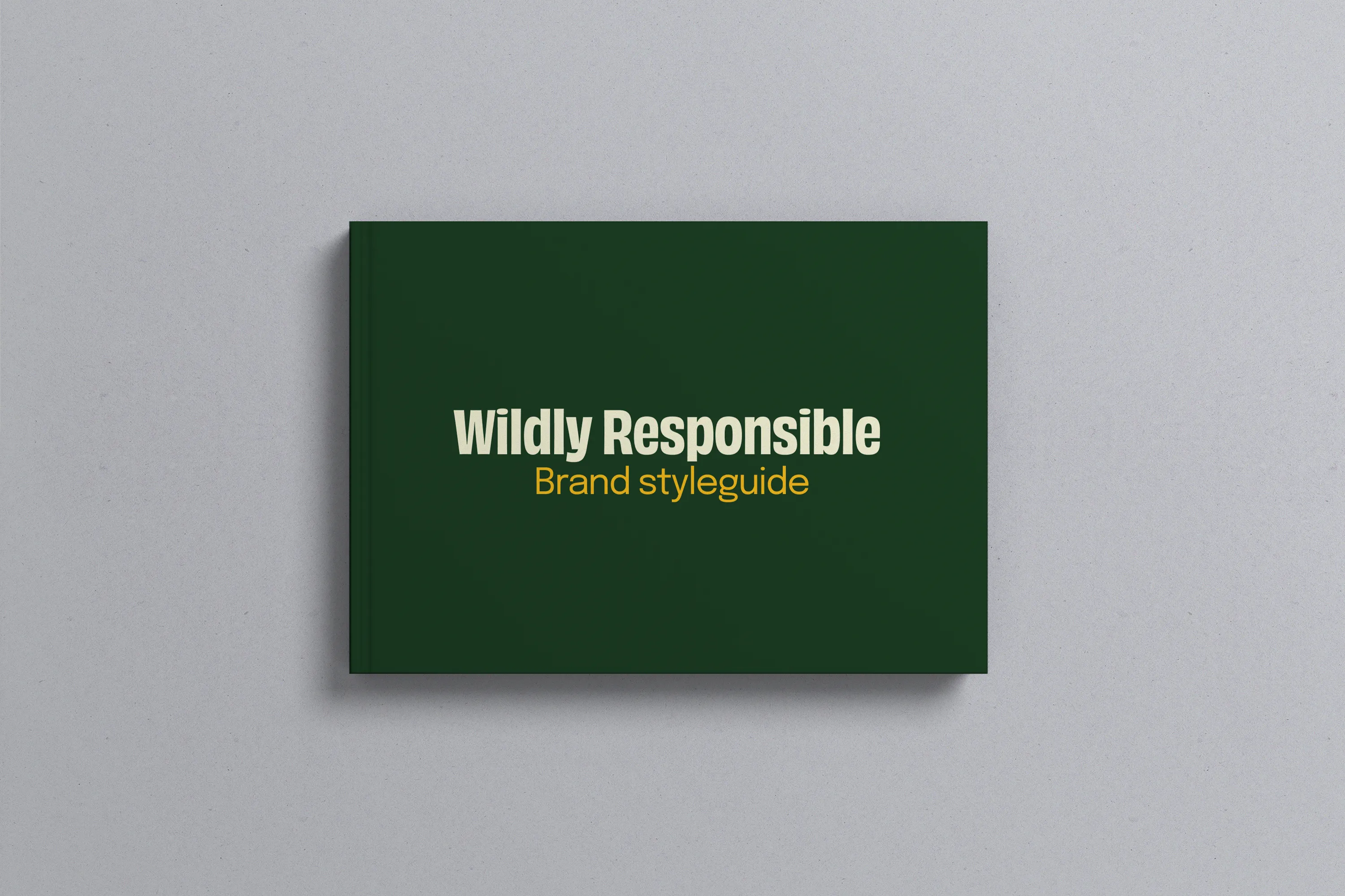 Mockup of the brand guide book