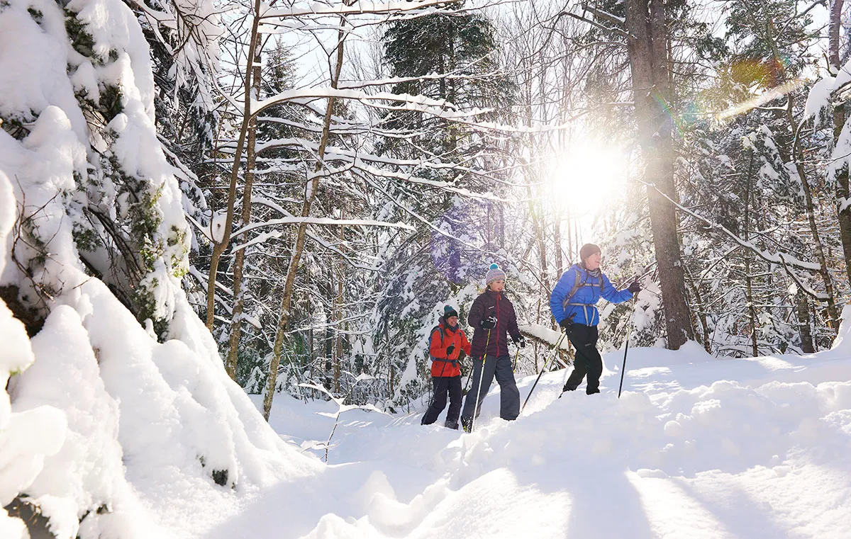 Group of three people snowshoeing on a trail