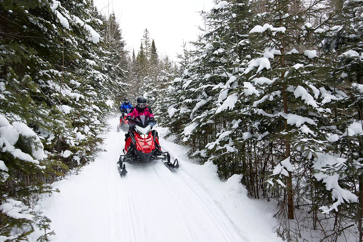Two people snowmobiling on a trail through evergreen trees